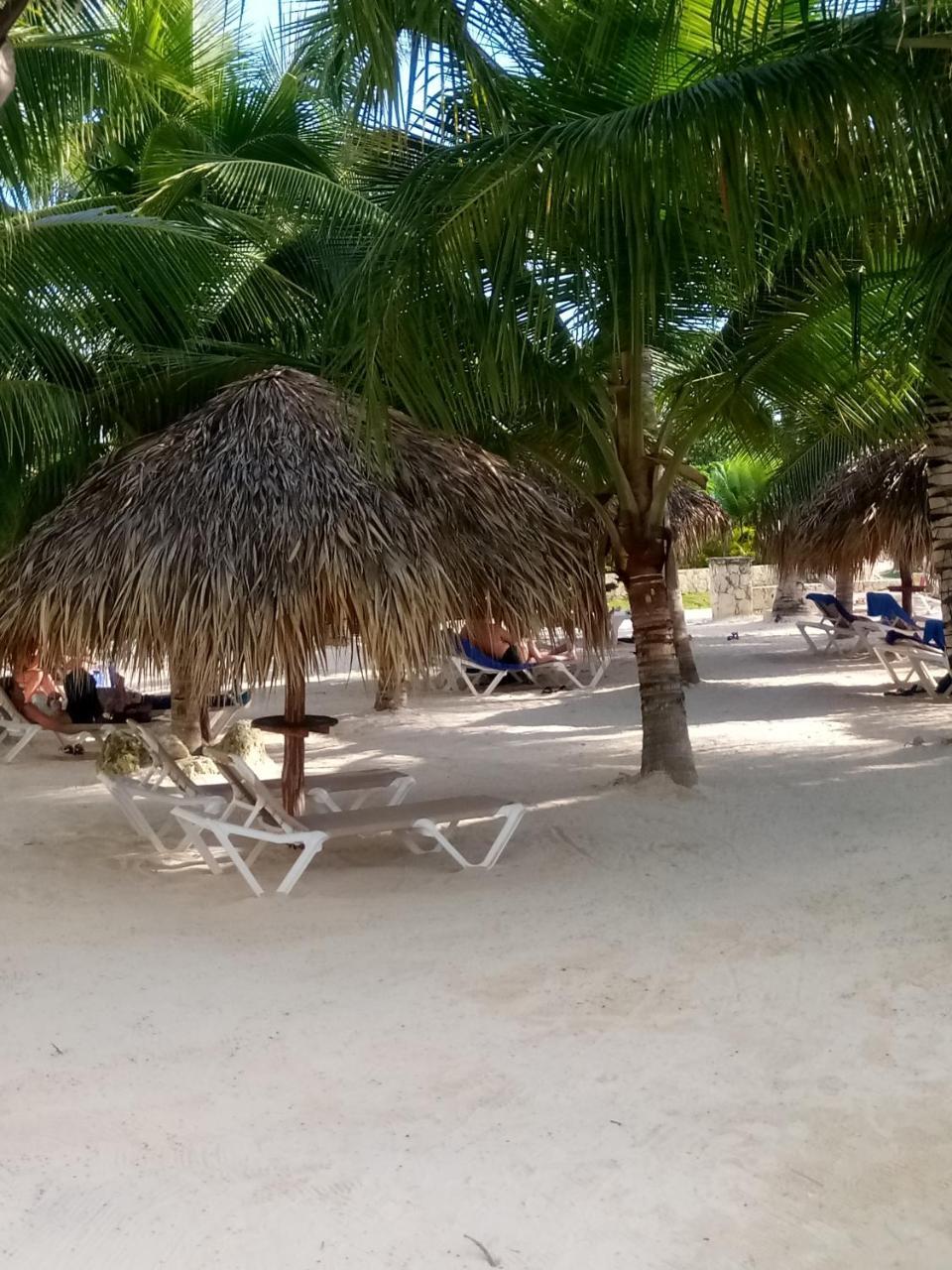 Apartamentos Y Habitaciones Sol Dominicus Solo Adultos La Laguna Zewnętrze zdjęcie
